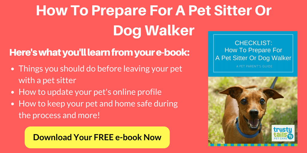 Download Prepare For Pet Sitter Dog Walker