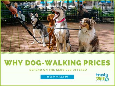 Why Dog-Walking Prices Depend On The Services Offered