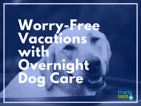 Worry-Free Vacations With Overnight Dog Care