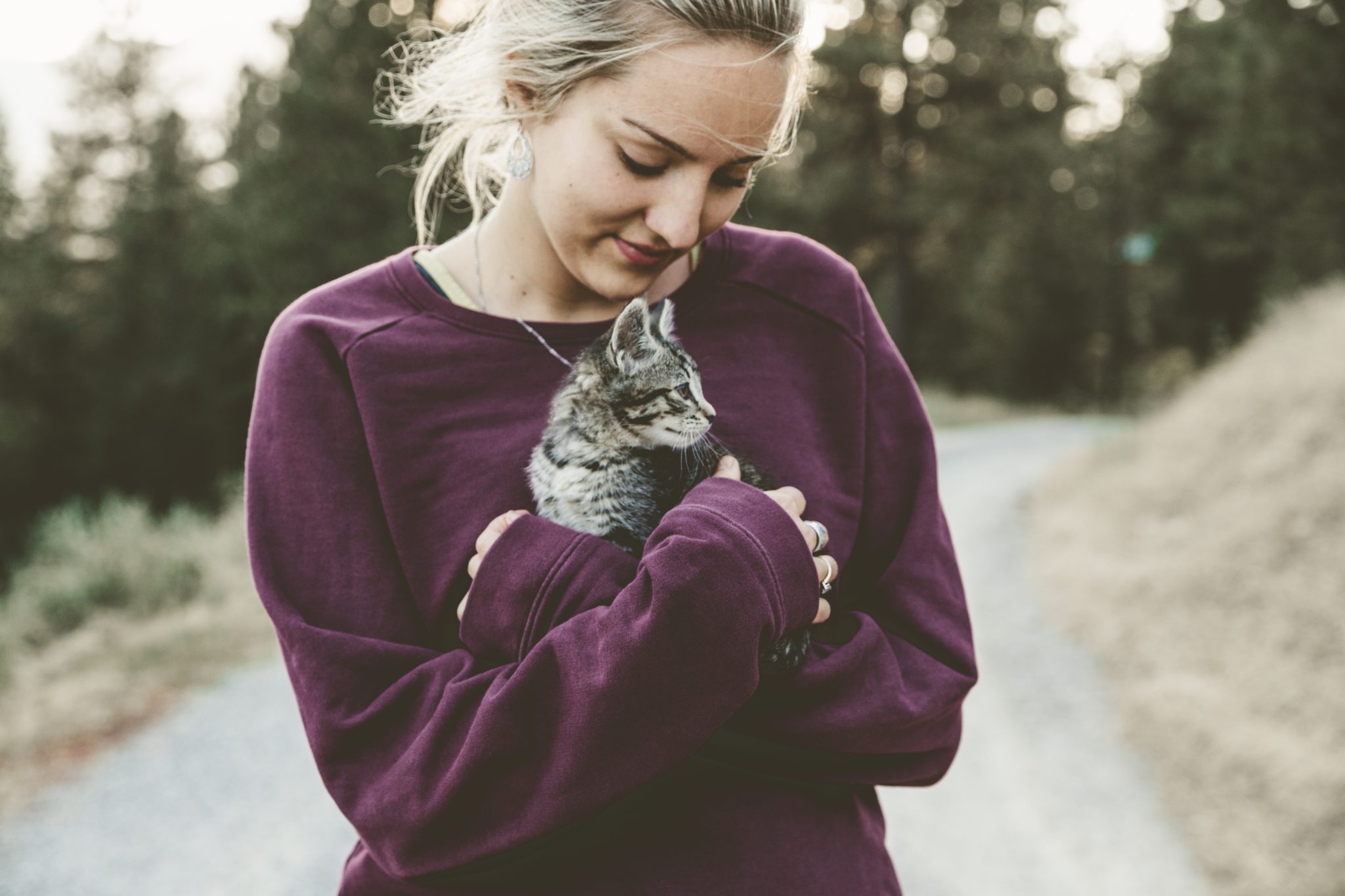 a girl holding a kitten