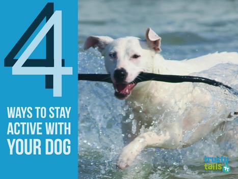 4 Ways to Stay Active with Your Dog