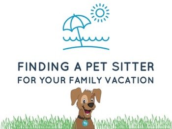 Finding Pet Sitter Your Family Vacation