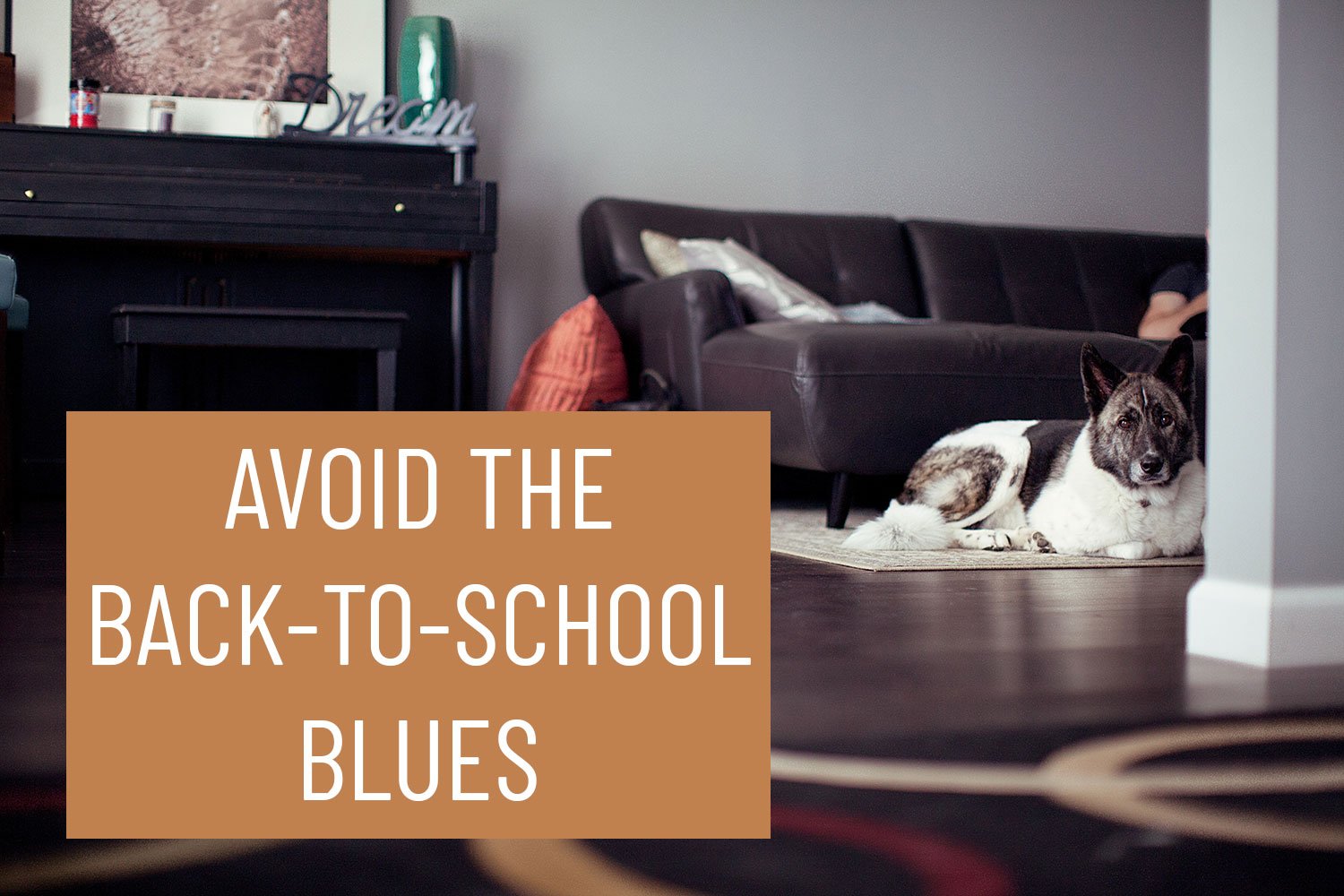 Avoid the Back-To-School Blues