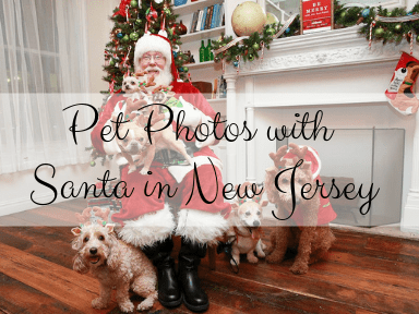 pet photos with Santa in New Jersey blog post image