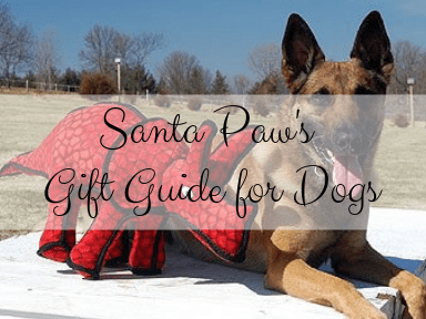 santa paw's gift guide blog post image