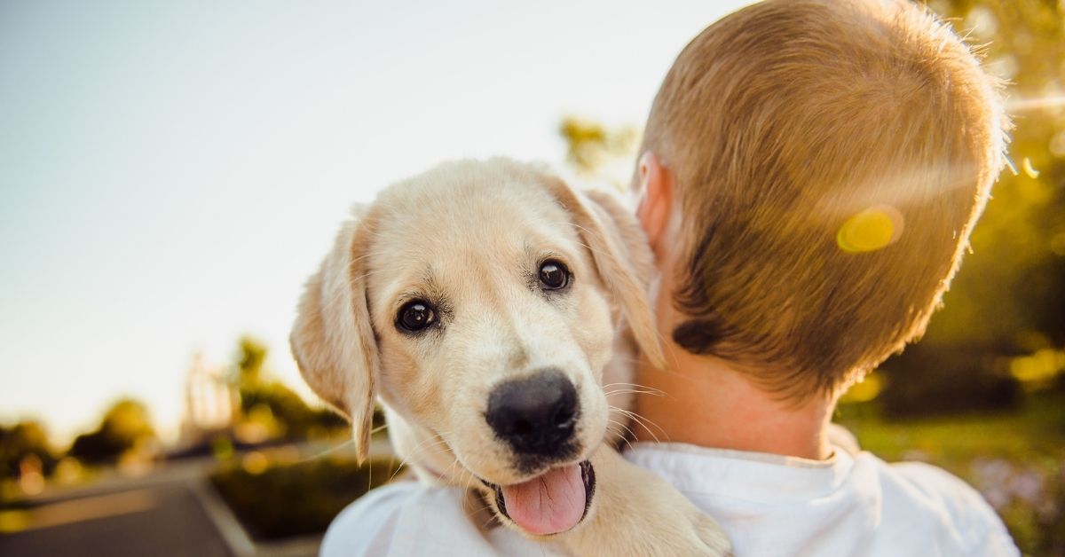 How to Make Your Puppy Happy