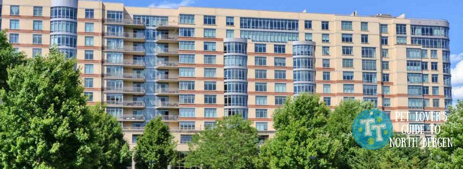 Pet Friendly Apartments Condos in North Bergen