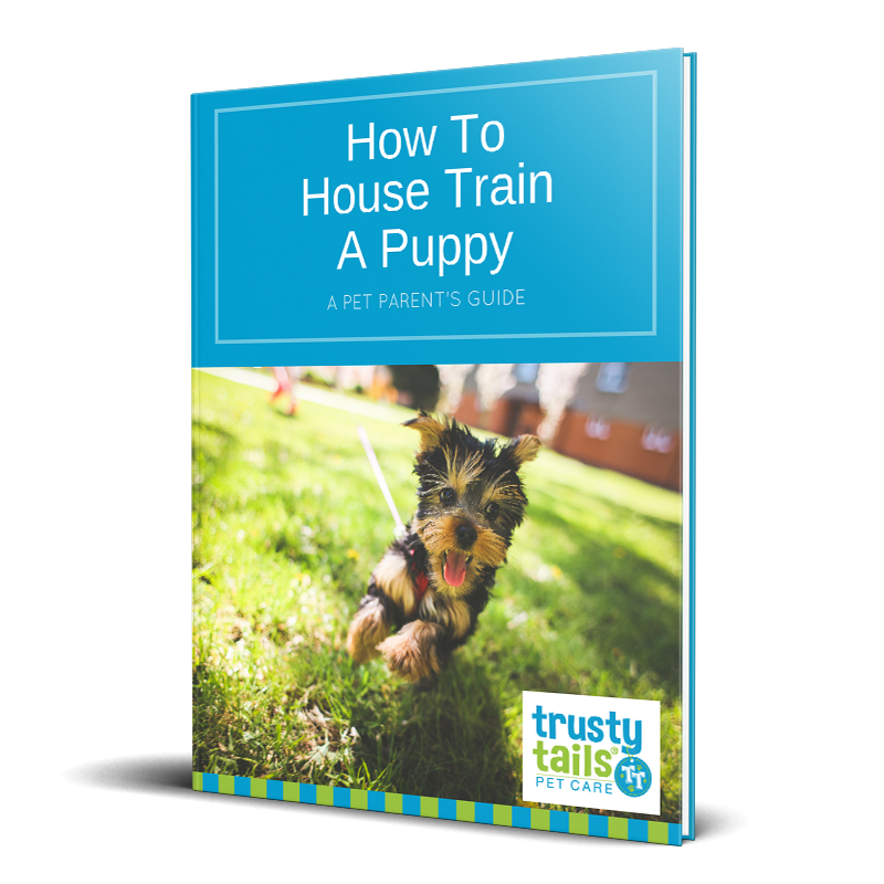 Train a Puppy