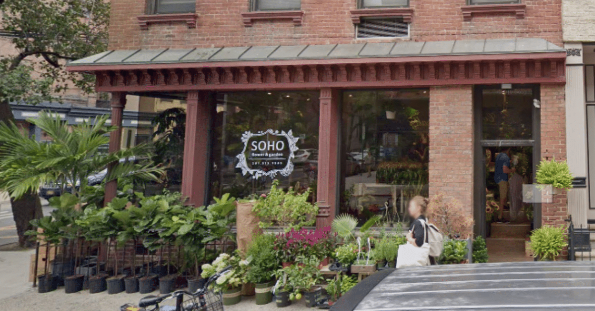 SOHO Flower and Garden Pet Friendly Plants