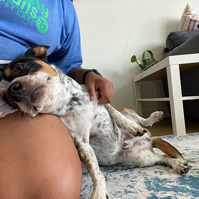 Oliver