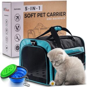 Cat Christmas Gift Ideas Cat Backpack