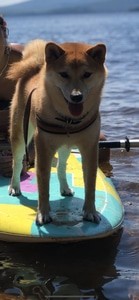 Hoboken Agua