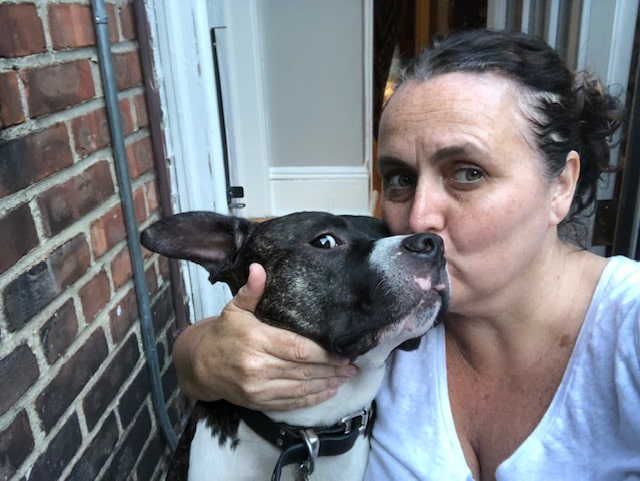 Duke Rescue dog