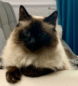 Secaucus Bonnie