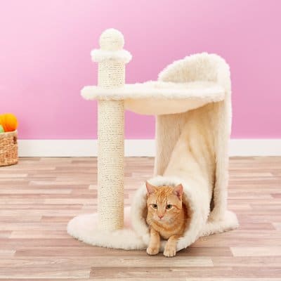 christmas cat gift