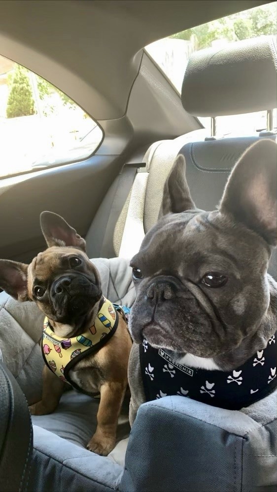 Loki and Thor