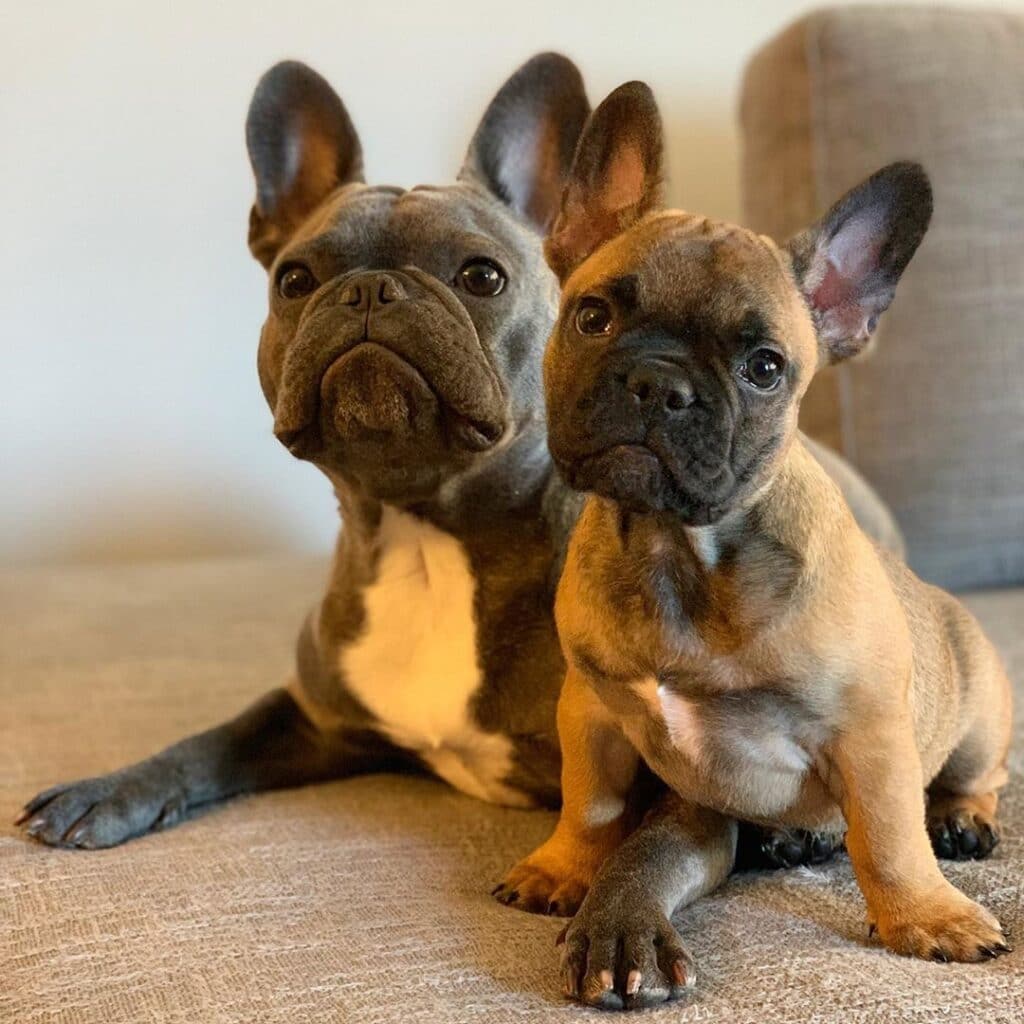Loki and Thor