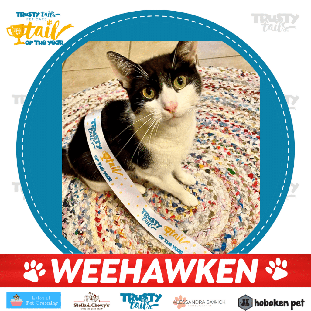 tail of weehawken