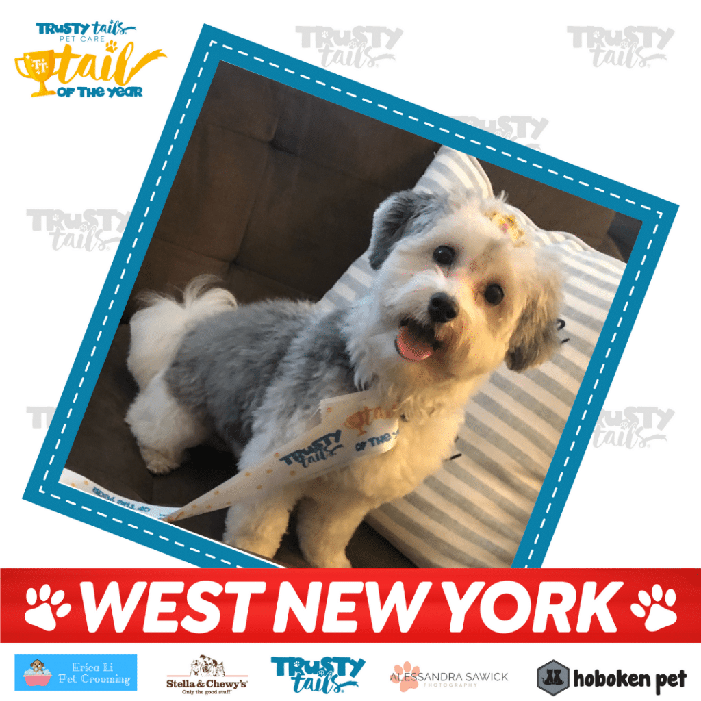 Tail of West New York