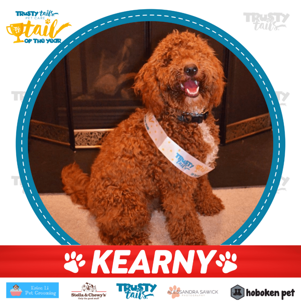 tail of kearny