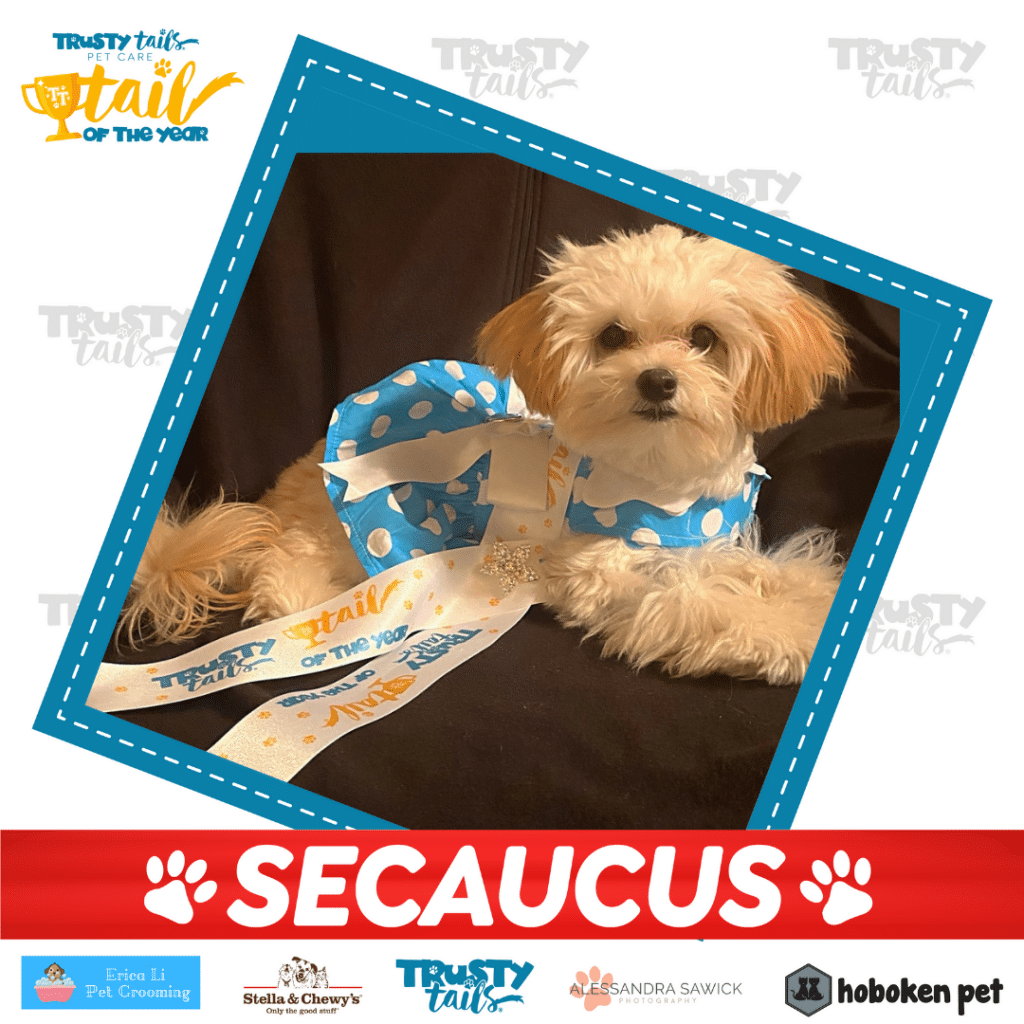 tail of secaucus