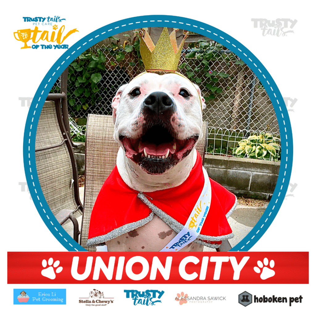 tail of union city