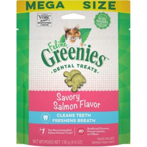 Best Dental Care Treats for Cats