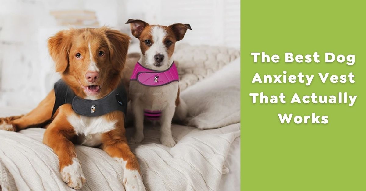 The Best Dog Anxiety Vest That Actually Works