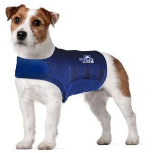 The Best Dog Anxiety Vest That Actually Works