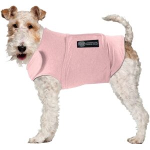 The Best Dog Anxiety Vest That Actually Works