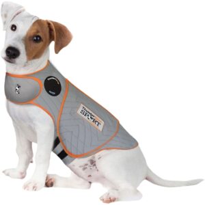 The Best Dog Anxiety Vest That Actually Works