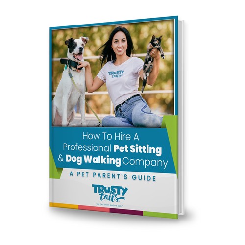 pet sitting dog walking hiring company