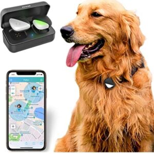 Top 10 GPS Pet Trackers (Our Top Picks for 2021) (1)