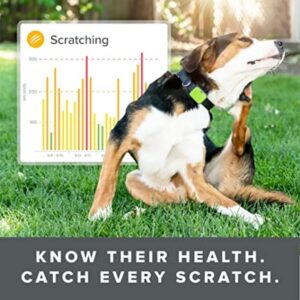 Top 10 GPS Pet Trackers (Our Top Picks for 2021) (3)