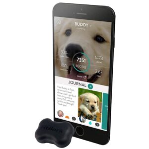 Top 10 GPS Pet Trackers (Our Top Picks for 2021) (4)