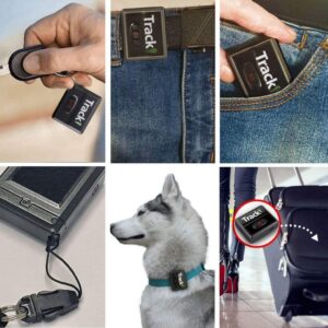 Top 10 GPS Pet Trackers (Our Top Picks for 2021) (5)
