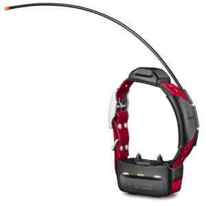 Top 10 GPS Pet Trackers (Our Top Picks for 2021) (7)