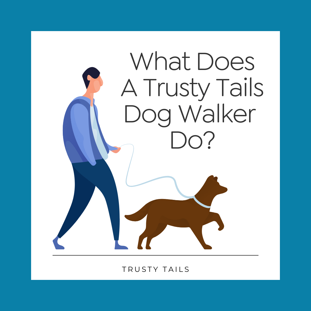 what does a dog walker do