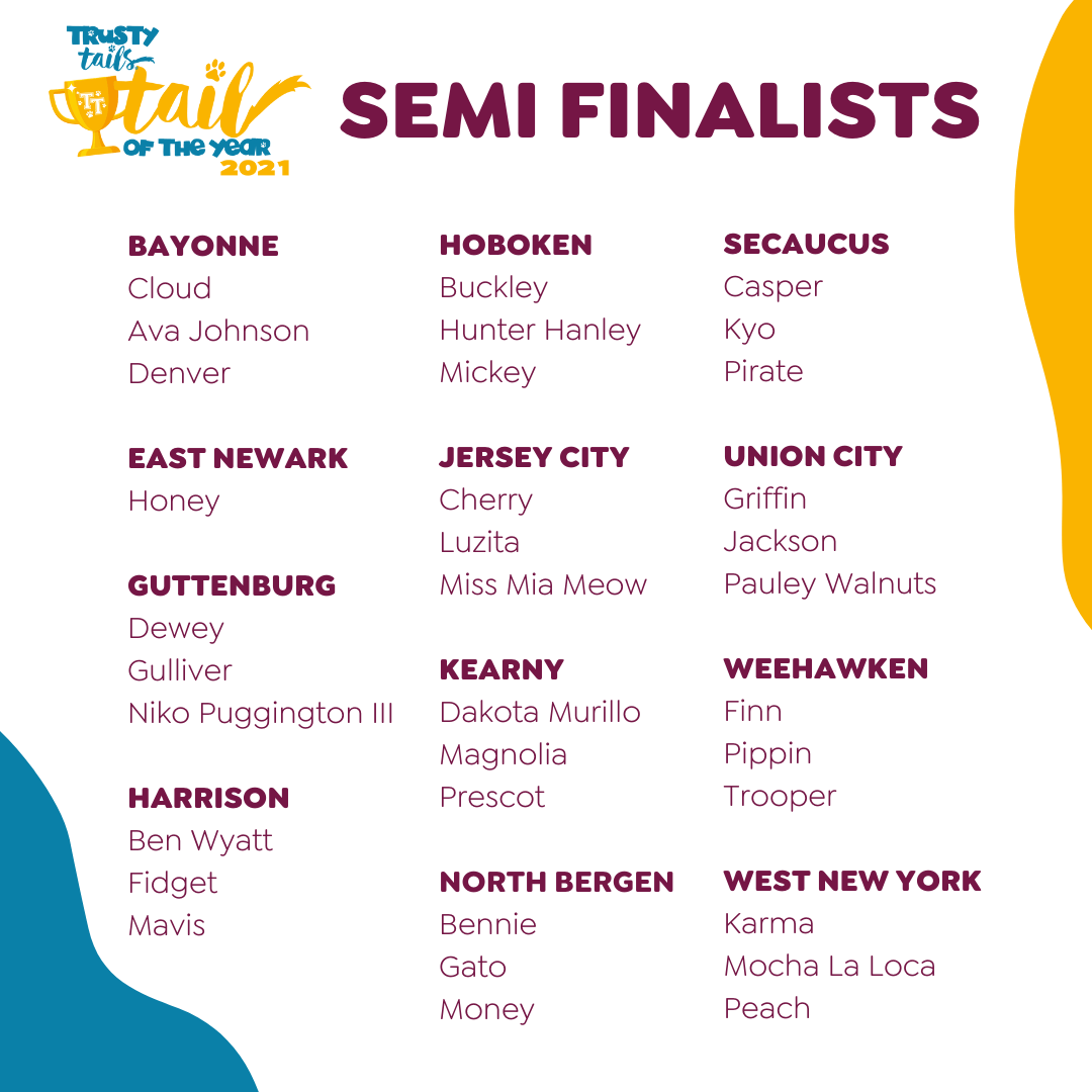 Tails 2021 Semi- Finalists